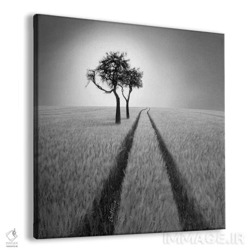 تابلو به خرد گوش کن اثر بن هاین (هنرمند بلژیکی) - نمای پرسپکتیو محصول