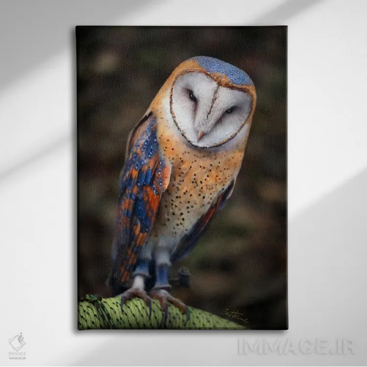 تابلو جغد بامزه اثر بن هاین (هنرمند بلژیکی) - نمای روبهرو روی دیوار