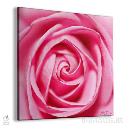 تابلو گلبرگ به گلبرگ اثر بن هاین (هنرمند بلژیکی) - نمای پرسپکتیو محصول