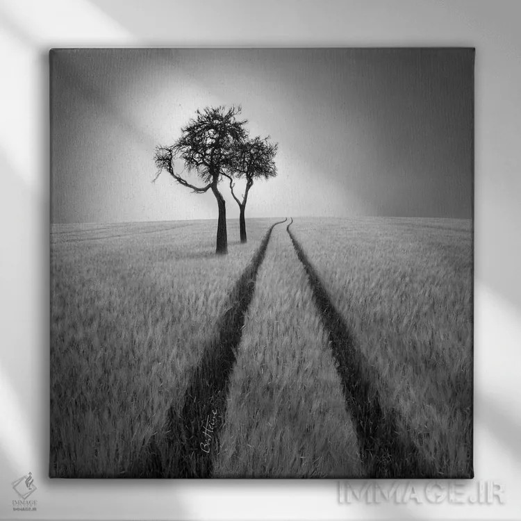 تابلو به خرد گوش کن اثر بن هاین (هنرمند بلژیکی) - نمای روبهرو روی دیوار