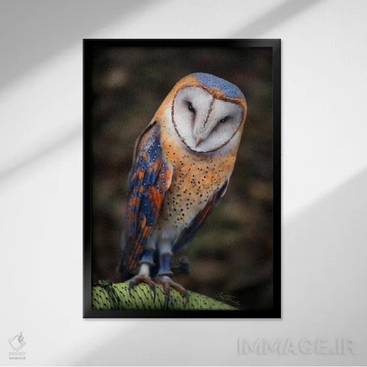 تابلو جغد بامزه اثر بن هاین (هنرمند بلژیکی) - نمای قابدار مشکی