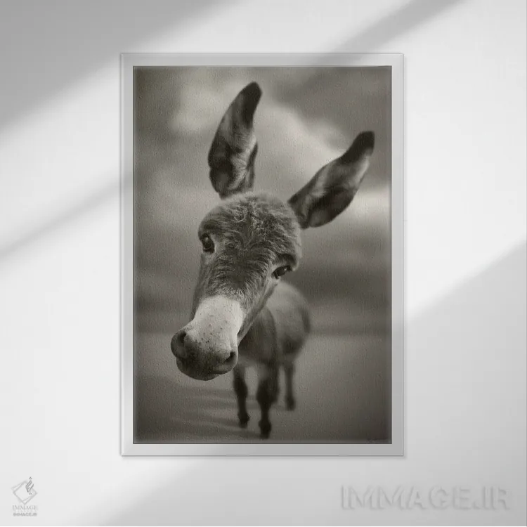 تابلو سلام اثر بن هاین (هنرمند بلژیکی) - نمای قابدار سفید