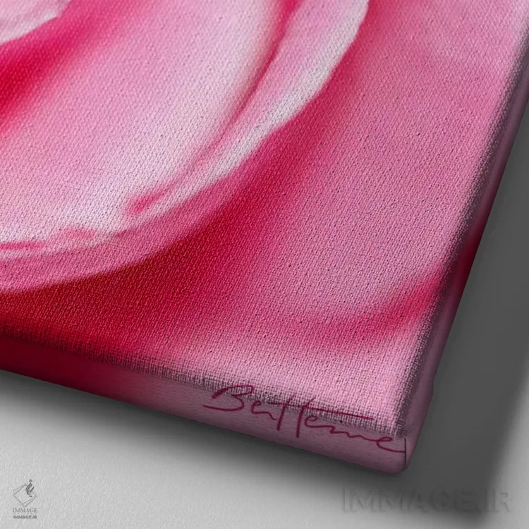 تابلو گلبرگ به گلبرگ اثر بن هاین (هنرمند بلژیکی) - نمای نزدیک بافت بوم