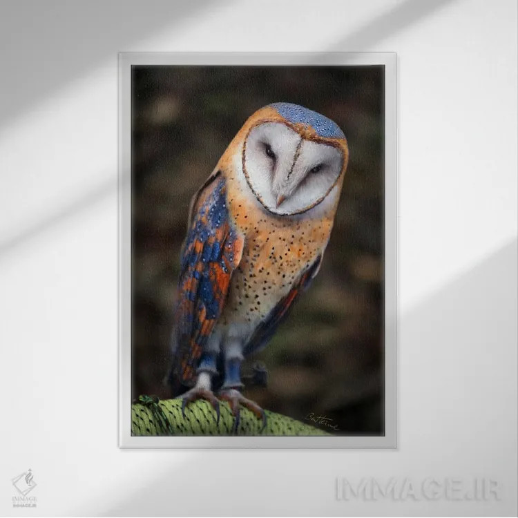 تابلو جغد بامزه اثر بن هاین (هنرمند بلژیکی) - نمای قابدار سفید