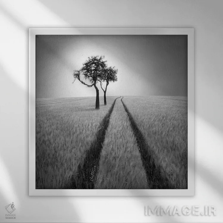 تابلو به خرد گوش کن اثر بن هاین (هنرمند بلژیکی) - نمای قابدار سفید