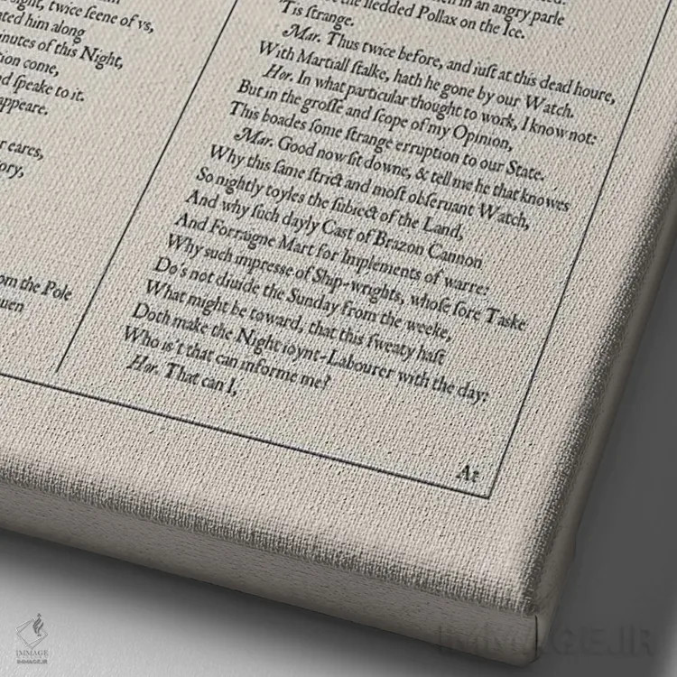 تابلو صفحه اولین نسخه هملت در بادام (جلد بادامی) اثر بیبلیوتوگرافی - نمای نزدیک بافت بوم