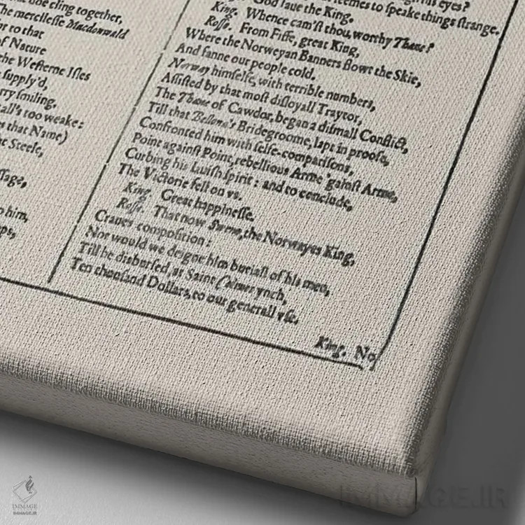 تابلو صفحه اولین نسخه مکبث در بادام (جلد بادامی) اثر بیبلیوتوگرافی - نمای نزدیک بافت بوم