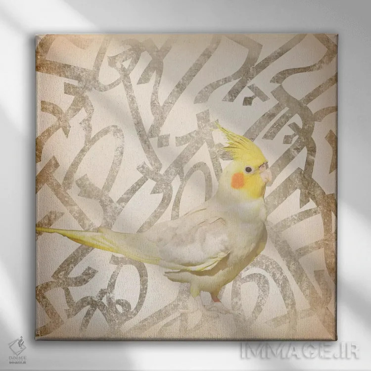 تابلو عروس هلندی تاجدار سلطنتی اثر فایو بای فایو کالکتیو - نمای روبهرو روی دیوار