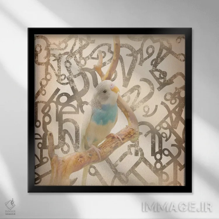 تابلو مرغ عشق دمدراز اثر فایو بای فایو کالکتیو - نمای قابدار مشکی