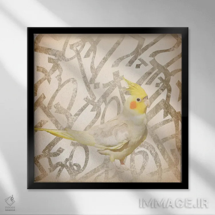 تابلو عروس هلندی تاجدار سلطنتی اثر فایو بای فایو کالکتیو - نمای قابدار مشکی