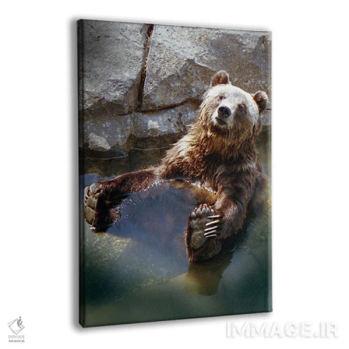 تابلو خرس گریزلی اثر بنجامین پاجت - نمای پرسپکتیو محصول