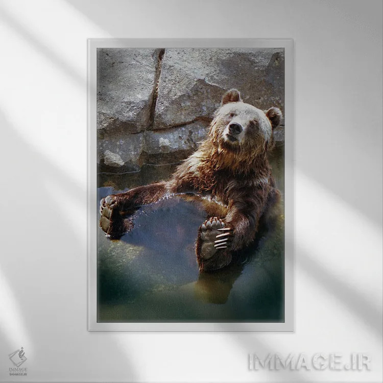 تابلو خرس گریزلی اثر بنجامین پاجت - نمای قابدار سفید