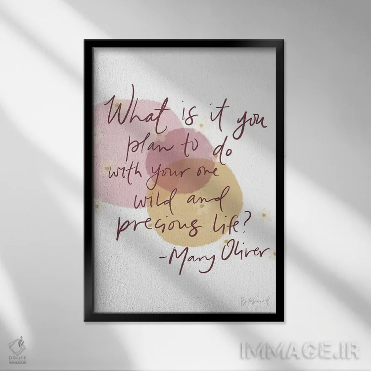 تابلو مری اولیور (وحشی و ارزشمند) اثر بک آکارد - نمای قابدار مشکی