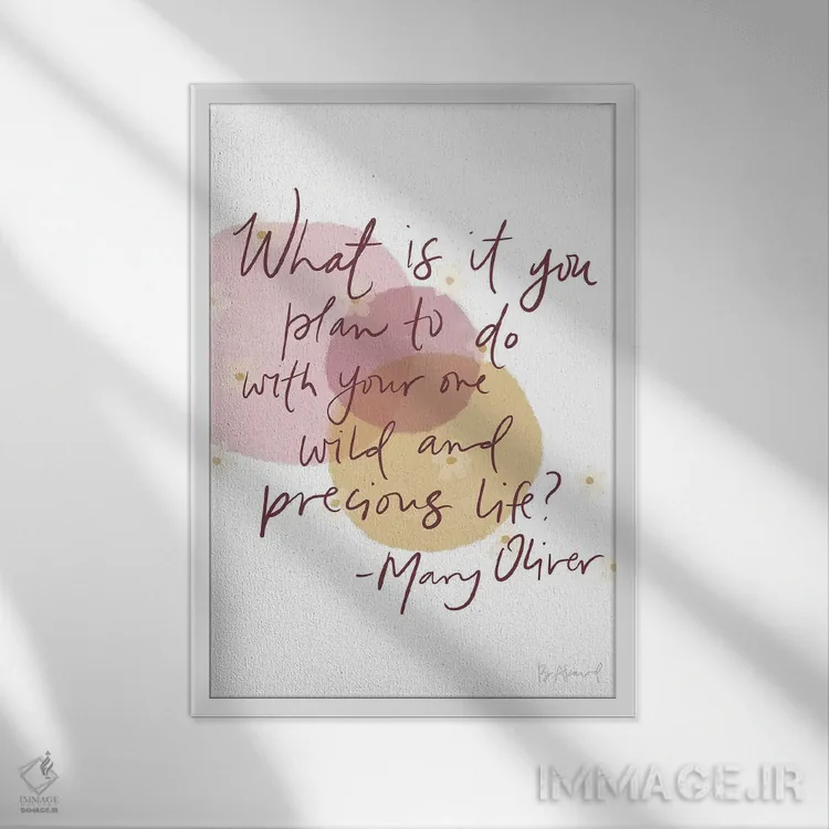 تابلو مری اولیور (وحشی و ارزشمند) اثر بک آکارد - نمای قابدار سفید