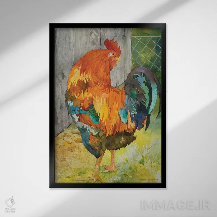 تابلو قفس خروس اثر آنلاین بوکنکمپ - نمای قابدار مشکی