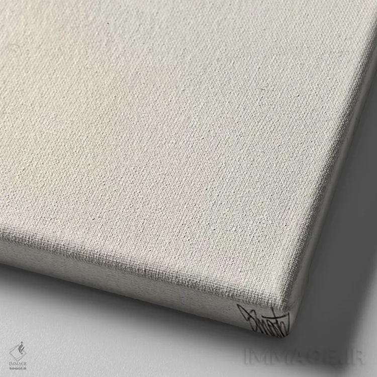 تابلو گراکل I (پرنده) اثر آرت برادران اسوارتز (استودیوی هنری) - نمای نزدیک بافت بوم