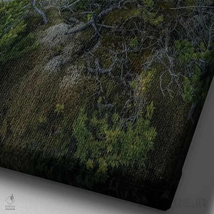 تابلو غروب در آبدرههای پاتاگونیا IV اثر استیو برکلی - نمای نزدیک بافت بوم