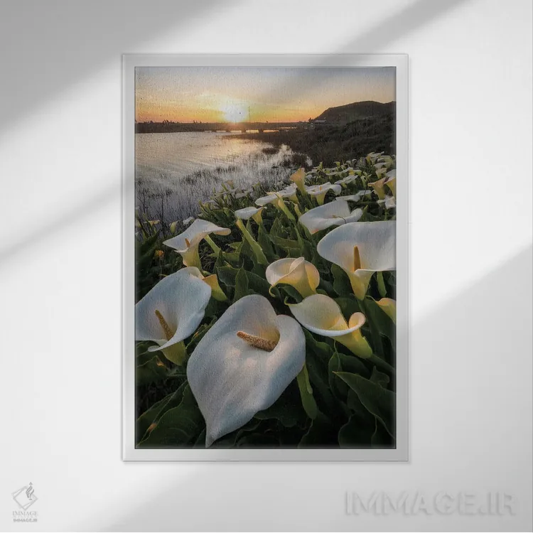 تابلو کالاس در ساحل رودئو اثر استیو برکلی - نمای قابدار سفید