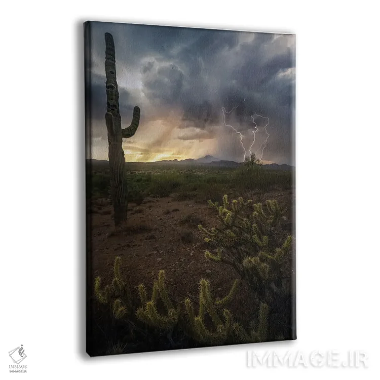 تابلو عنصری آریزونا اثر استیو برکلی - نمای پرسپکتیو محصول