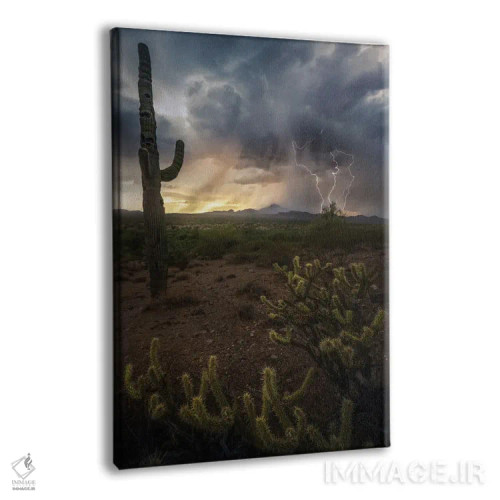 تابلو عنصری آریزونا اثر استیو برکلی - نمای پرسپکتیو محصول