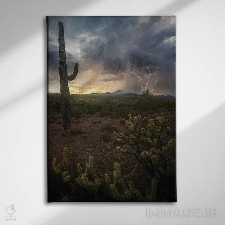 تابلو عنصری آریزونا اثر استیو برکلی - نمای روبهرو روی دیوار