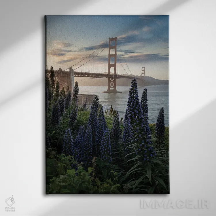 تابلو گلدن گیت در پریسیدیو IV اثر استیو برکلی - نمای روبهرو روی دیوار