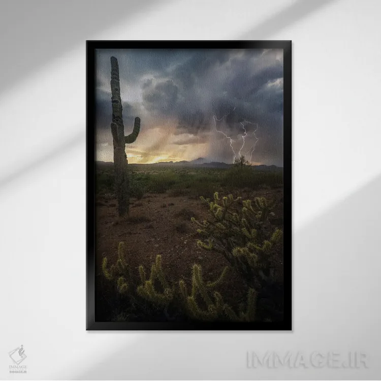 تابلو عنصری آریزونا اثر استیو برکلی - نمای قابدار مشکی