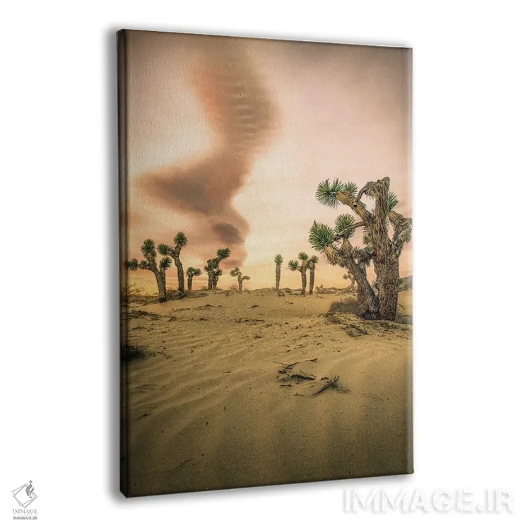 تابلو طلوع درخت یوشوا اثر استیو برکلی - نمای پرسپکتیو محصول