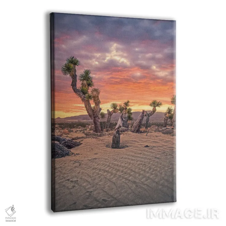 تابلو درخت یوشوا ۲ اثر استیو برکلی - نمای پرسپکتیو محصول