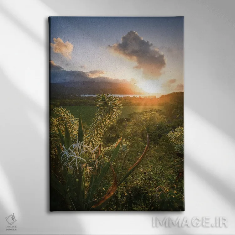 تابلو چشمانداز دره کالالاو II اثر استیو برکلی - نمای روبهرو روی دیوار