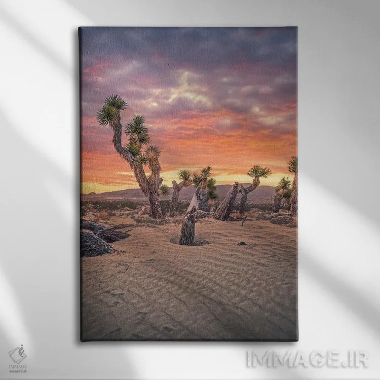 تابلو درخت یوشوا ۲ اثر استیو برکلی - نمای روبهرو روی دیوار