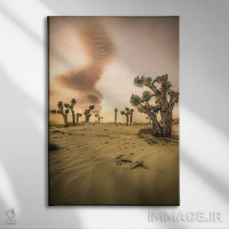 تابلو طلوع درخت یوشوا اثر استیو برکلی - نمای روبهرو روی دیوار
