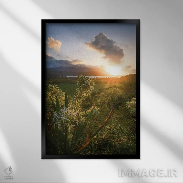 تابلو چشمانداز دره کالالاو II اثر استیو برکلی - نمای قابدار مشکی