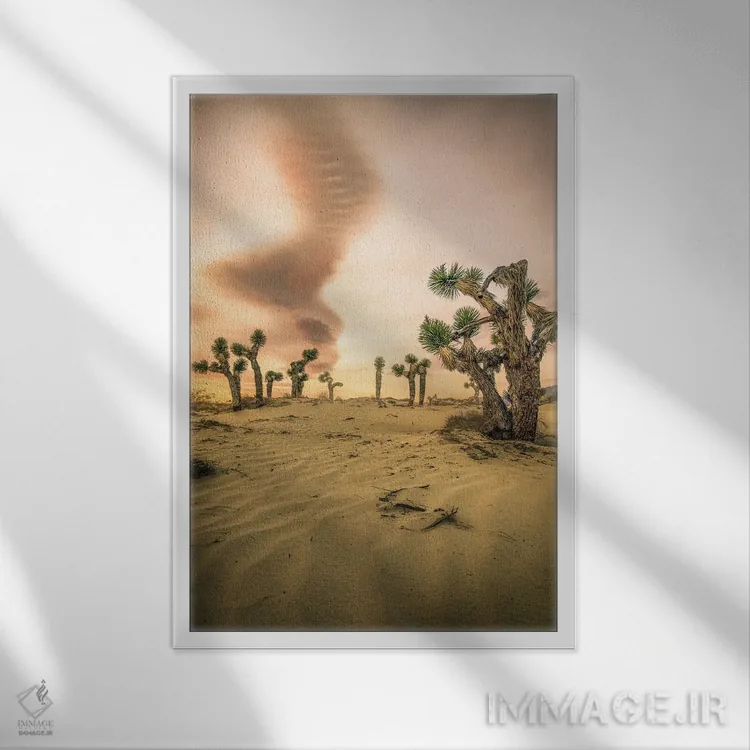 تابلو طلوع درخت یوشوا اثر استیو برکلی - نمای قابدار سفید