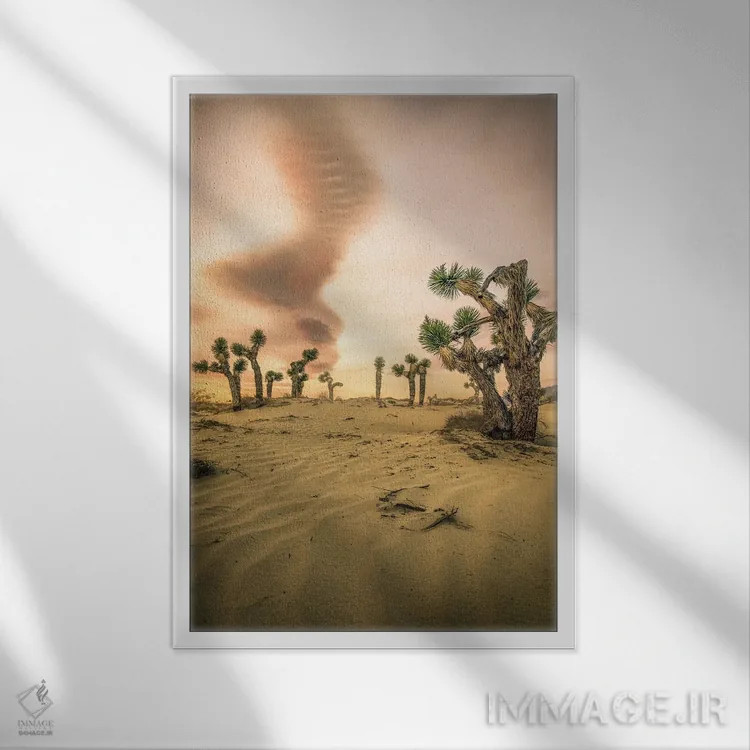 تابلو طلوع درخت یوشوا اثر استیو برکلی - نمای قابدار سفید