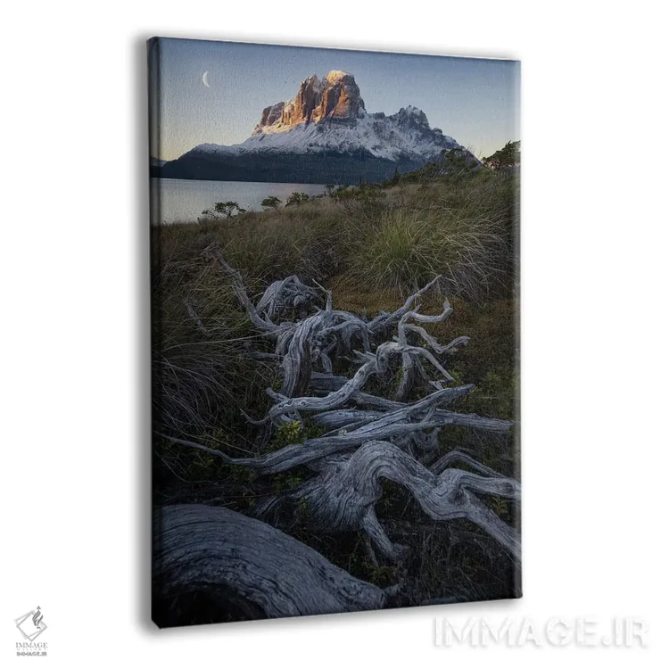 تابلو طلوع ماه در آبدرههای پاتاگونیا III اثر استیو برکلی - نمای پرسپکتیو محصول