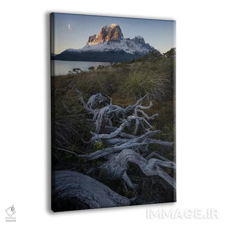 تابلو طلوع ماه در آبدرههای پاتاگونیا III اثر استیو برکلی - نمای پرسپکتیو محصول