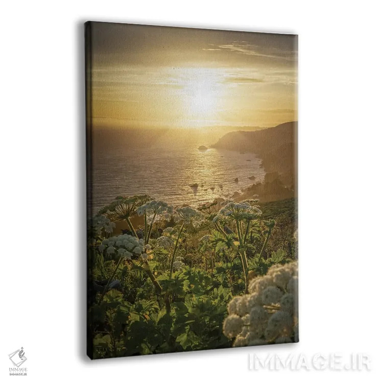 تابلو بزرگراه ساحل اقیانوس آرام اثر استیو برکلی - نمای پرسپکتیو محصول