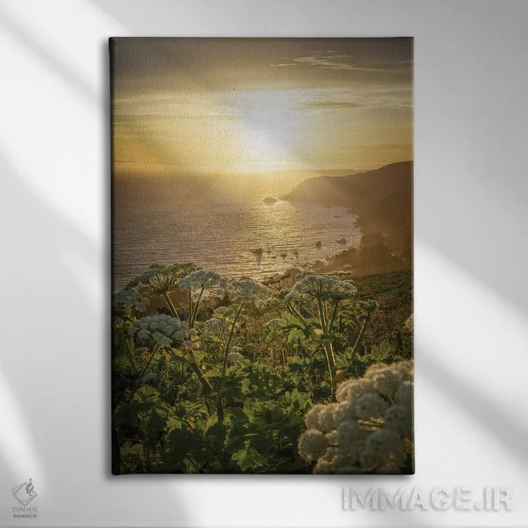 تابلو بزرگراه ساحل اقیانوس آرام اثر استیو برکلی - نمای روبهرو روی دیوار