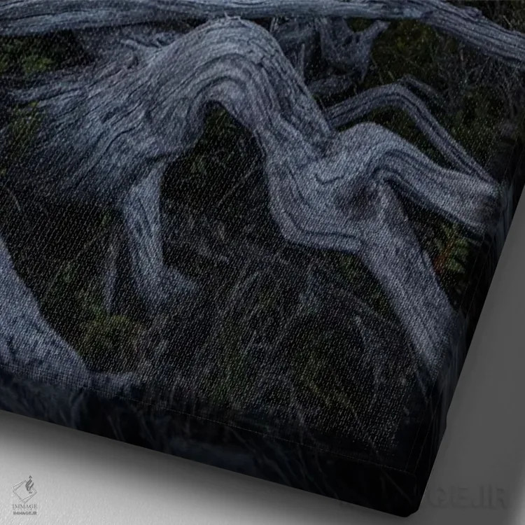 تابلو طلوع ماه در آبدرههای پاتاگونیا III اثر استیو برکلی - نمای نزدیک بافت بوم