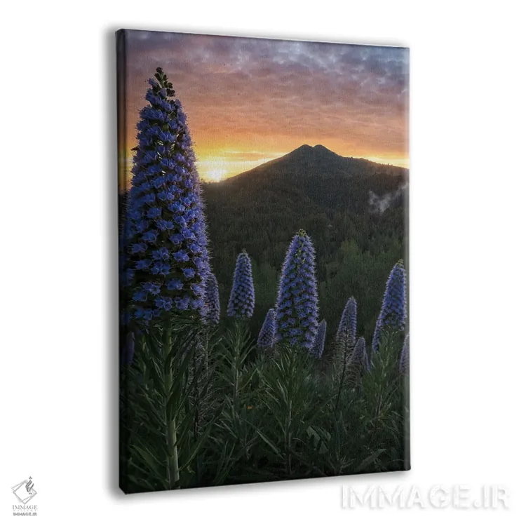 تابلو غرور مادیرا II اثر استیو برکلی - نمای پرسپکتیو محصول