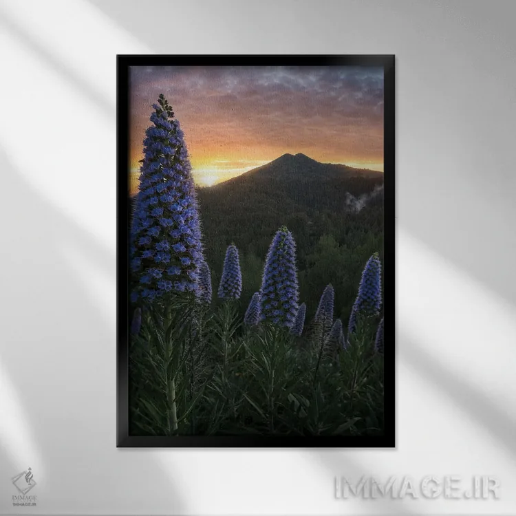 تابلو غرور مادیرا II اثر استیو برکلی - نمای قابدار مشکی