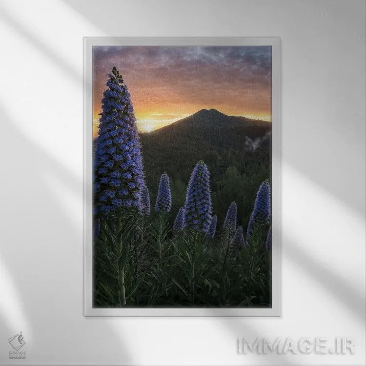 تابلو غرور مادیرا II اثر استیو برکلی - نمای قابدار سفید