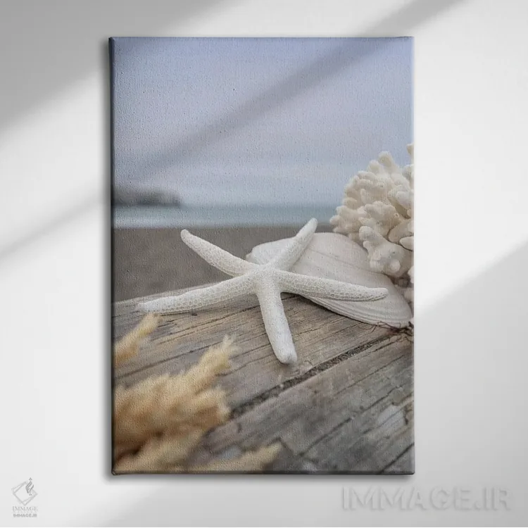 تابلو صدفهای ساحل هلالی XIII اثر آلن بلاوشتاین - نمای روبهرو روی دیوار