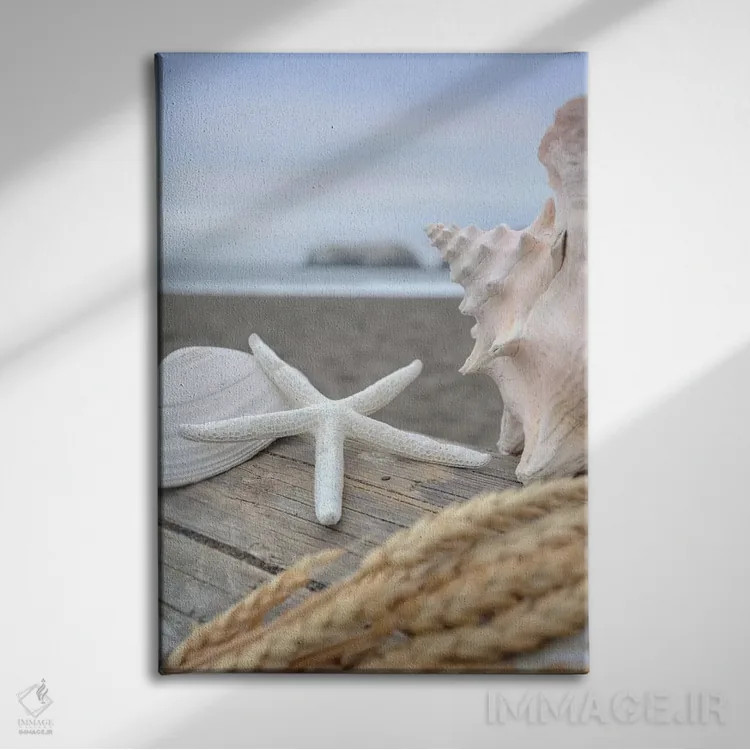 تابلو صدفهای ساحل هلالی XII اثر آلن بلاوشتاین - نمای روبهرو روی دیوار