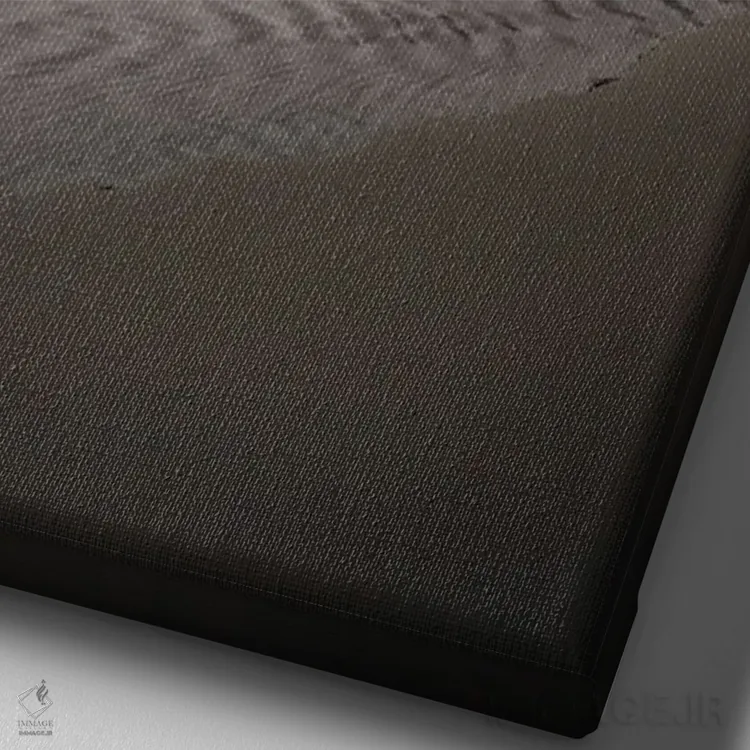 تابلو S پنهان اثر استیو برکلی - نمای نزدیک بافت بوم