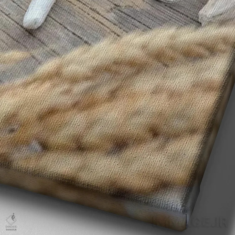 تابلو صدفهای ساحل هلالی XII اثر آلن بلاوشتاین - نمای نزدیک بافت بوم