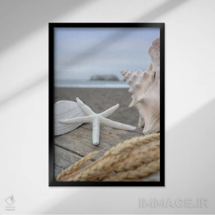 تابلو صدفهای ساحل هلالی XII اثر آلن بلاوشتاین - نمای قابدار مشکی