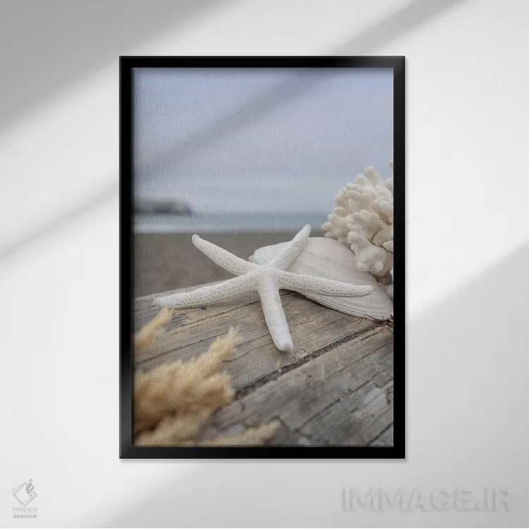 تابلو صدفهای ساحل هلالی XIII اثر آلن بلاوشتاین - نمای قابدار مشکی