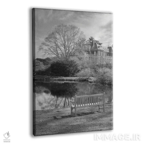 تابلو مجموعه بلوط ساحلی LXIII اثر آلن بلاوشتاین - نمای پرسپکتیو محصول